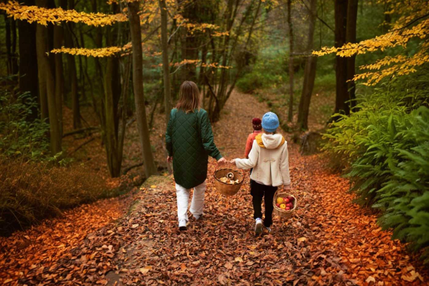 Planes rurales para otoño: paisajes, setas y chimenea en Segovia